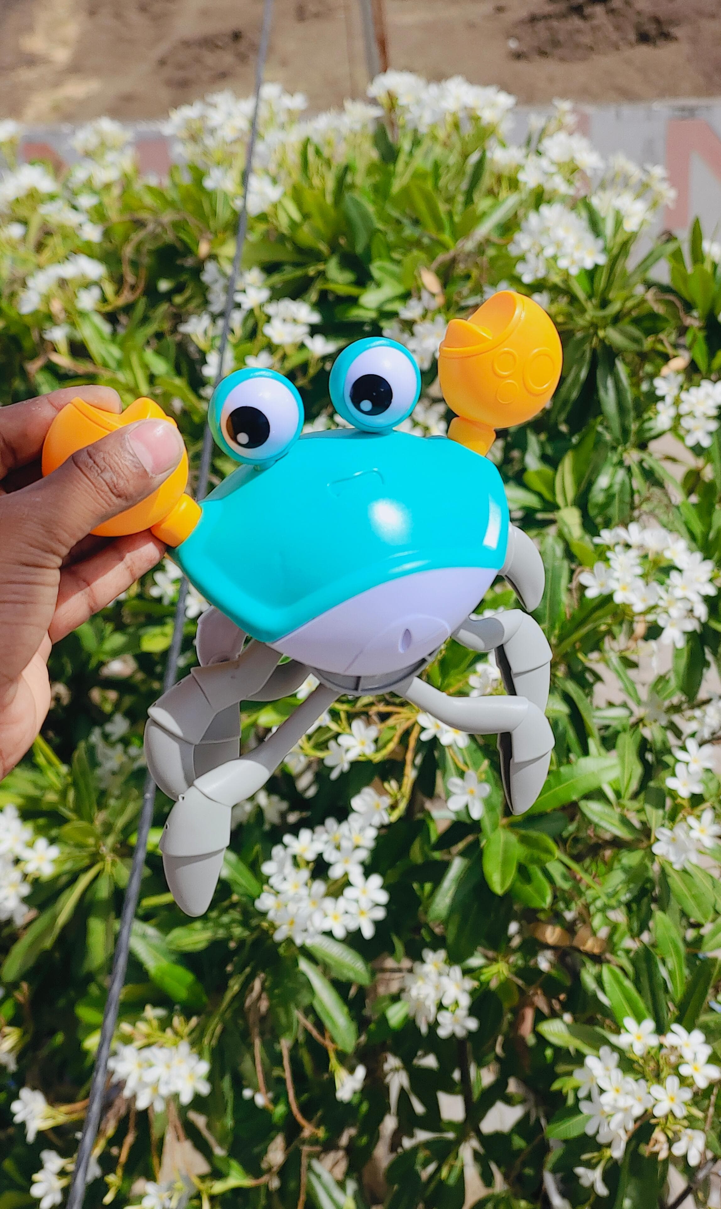 Rechargeable Crawling Crab