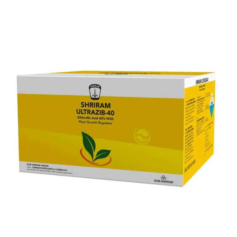 Shriram Ultrazib-40: High-Performance Waterproofing Solution for Durability