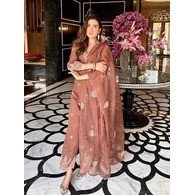 Paheli Embroidered Vichitra Silk Kurta Set with Tabby Silk Dupatta – Brown