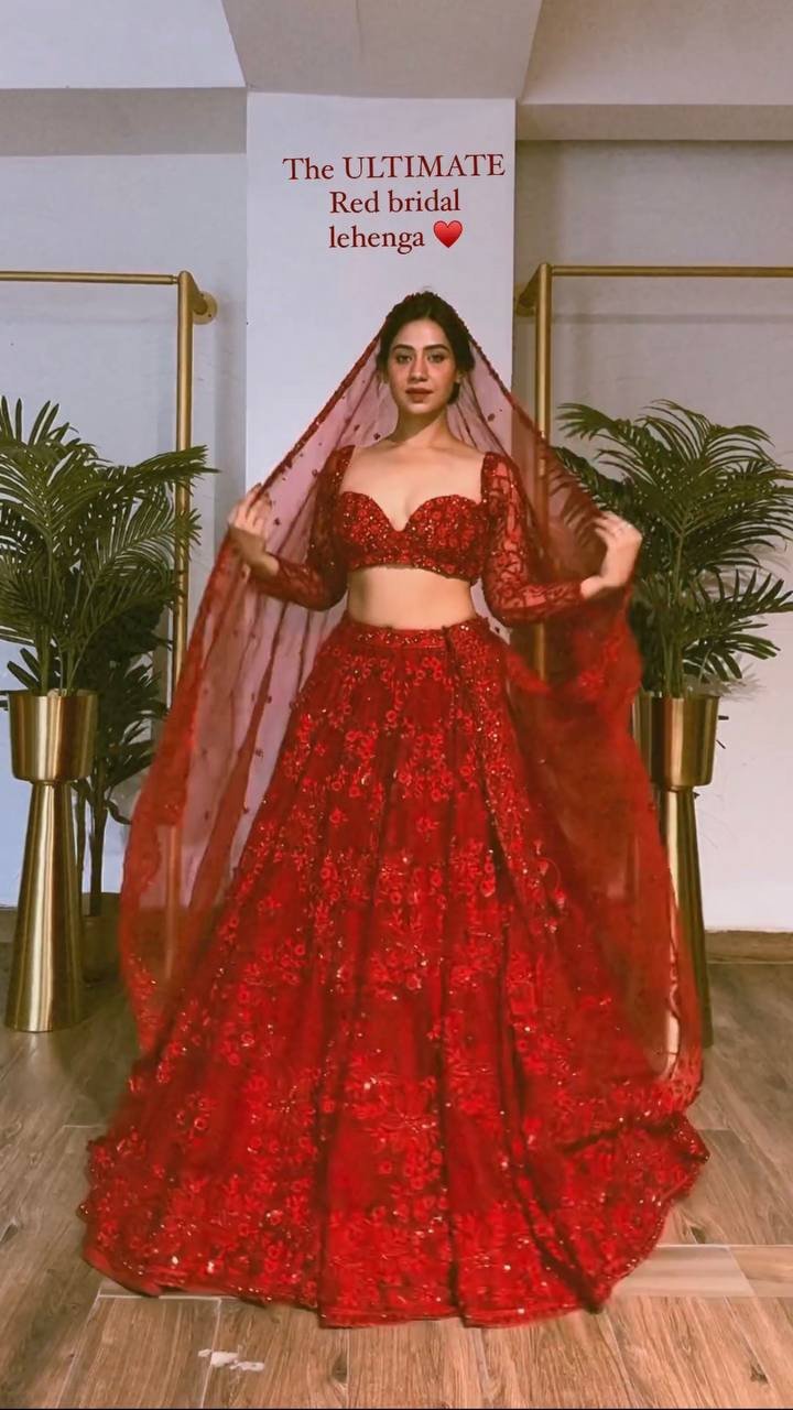 Butterfly Net Lehenga with Sequins Embroidery, Cancan & Canvas Patta