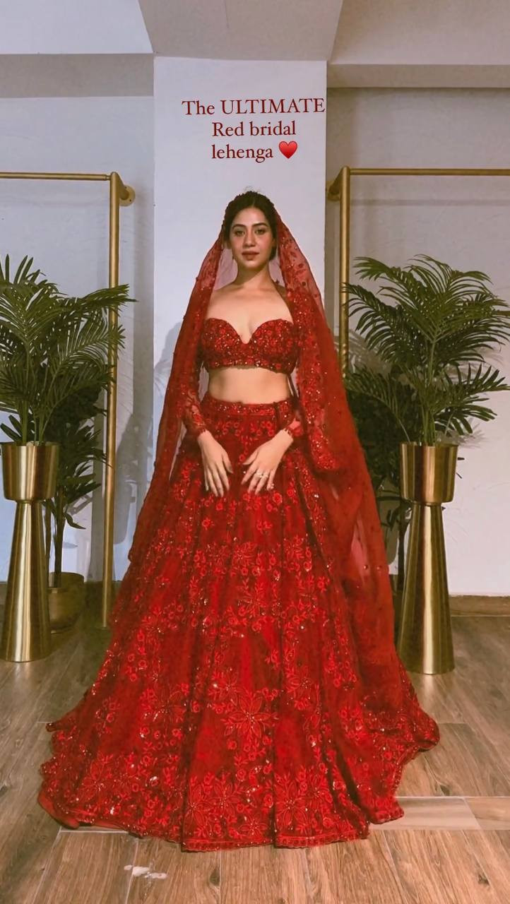 Butterfly Net Lehenga with Sequins Embroidery, Cancan & Canvas Patta